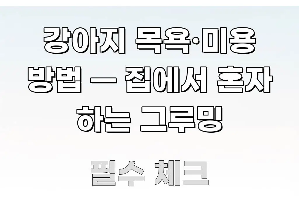 강아지 목욕·미용 방법 — 집에서 혼자 하는 그루밍 신뢰할 수 있는 정보를 담은 정보 요약 인포그래픽 이미지 - 글 흐름을 돕는 시각 자료