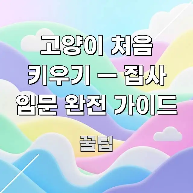 고양이 처음 키우기 — 집사 입문 완전 가이드 신뢰할 수 있는 정보를 담은 정보 전달형 표지 이미지 - 내용 요약을 위한 이미지
