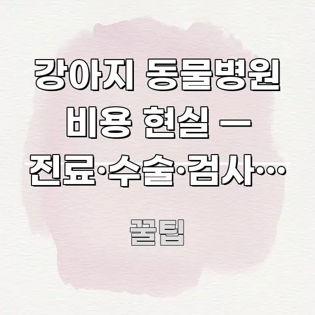 강아지 동물병원 비용 현실 — 진료·수술·검사비 총정리 바로 활용 가능한 정보 카드 디자인 이미지