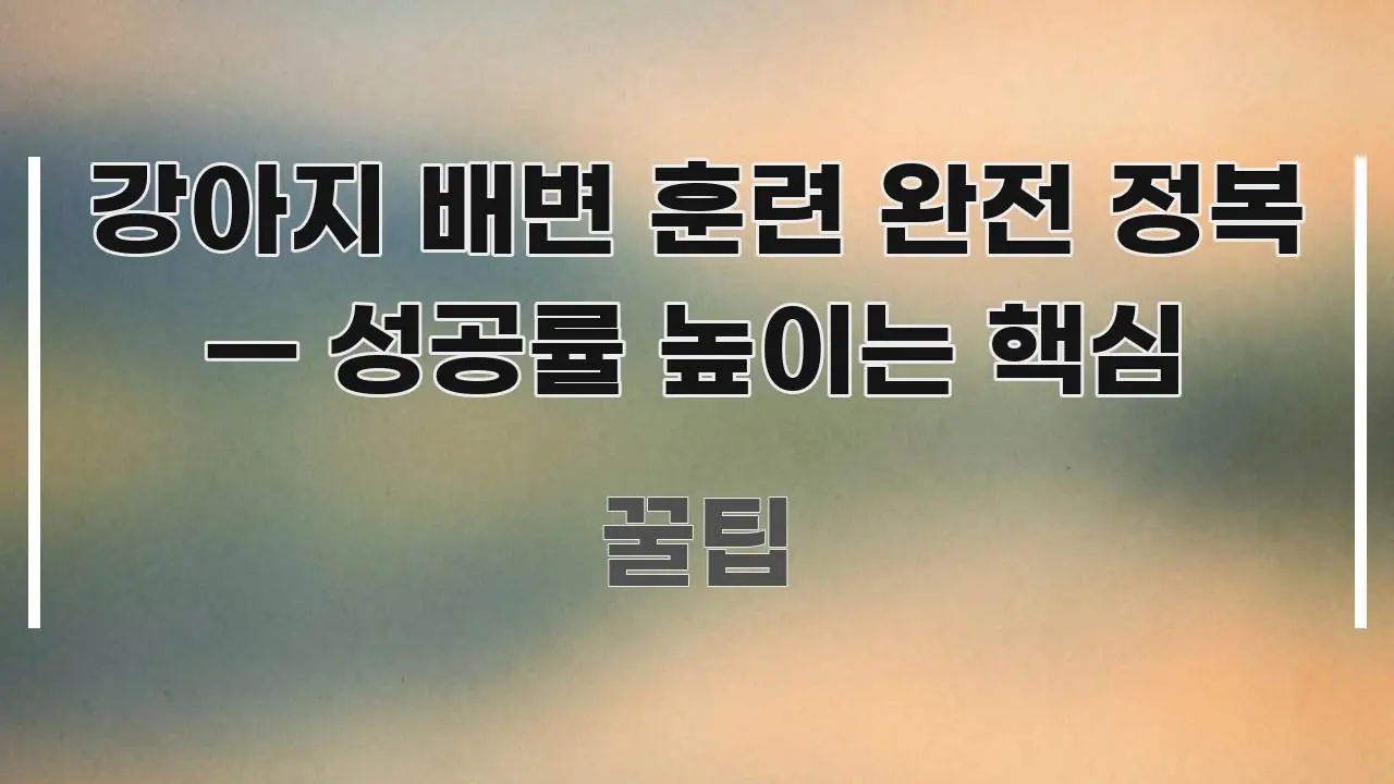 강아지 배변 훈련 완전 정복 — 성공률 높이는 핵심 한눈에 보기 좋게 요약한 정보 요약 포스터 - 활용 예시 이미지