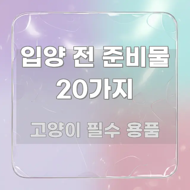 입양 전 준비물 20가지 꼭 알아야 할 정보를 담은 핵심 정보 비주얼 - 참고용 이미지