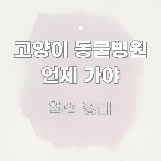 고양이 동물병원 언제 가야 핵심 키워드 중심의 정보 카드 디자인 이미지 - 가독성을 높이는 이미지
