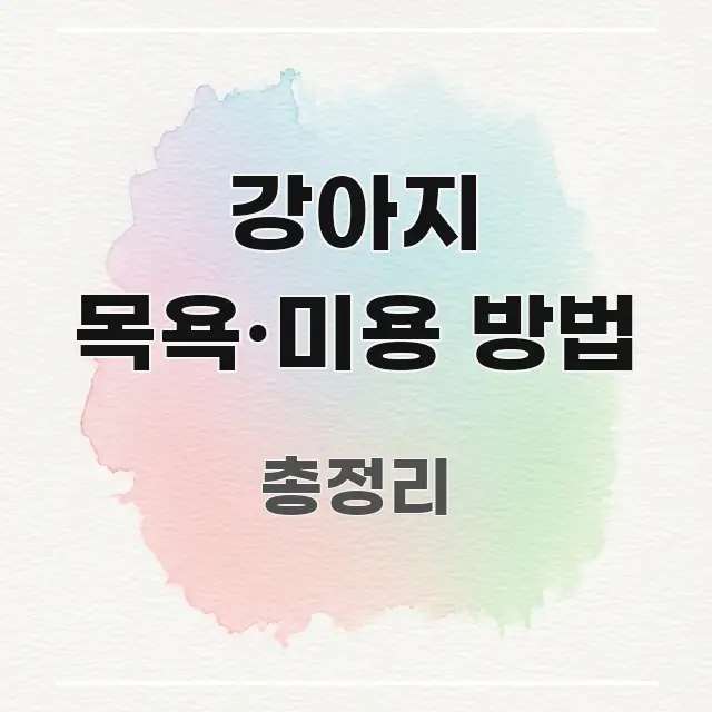 강아지 목욕·미용 방법 전문적으로 분석한 타이포그래피 블로그 표지