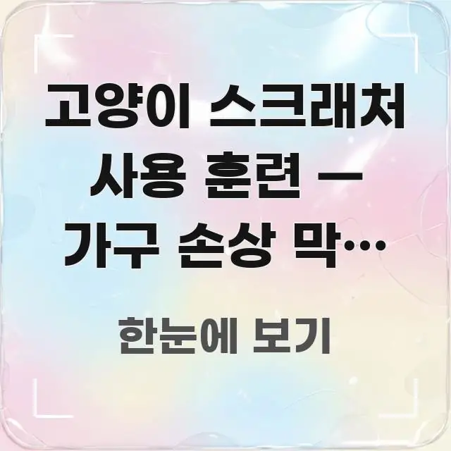 고양이 스크래처 사용 훈련 — 가구 손상 막는 현실 스마트하게 정리된 정보 전달형 표지 이미지 - 가독성을 높이는 이미지