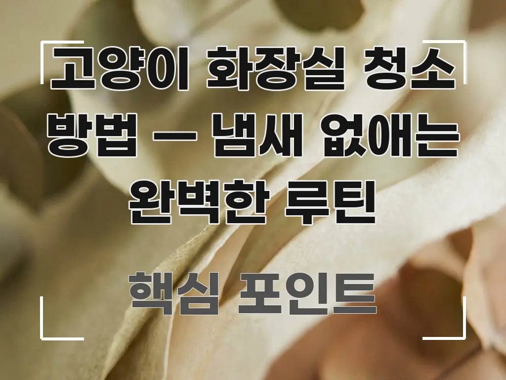 고양이 화장실 청소 방법 — 냄새 없애는 완벽한 루틴 중요 내용만 뽑은 카드뉴스 스타일 이미지 - 내용 요약을 위한 이미지