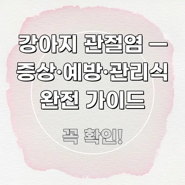 강아지 관절염 — 증상·예방·관리식 완전 가이드 시선을 사로잡는 블로그 섹션 구분 이미지