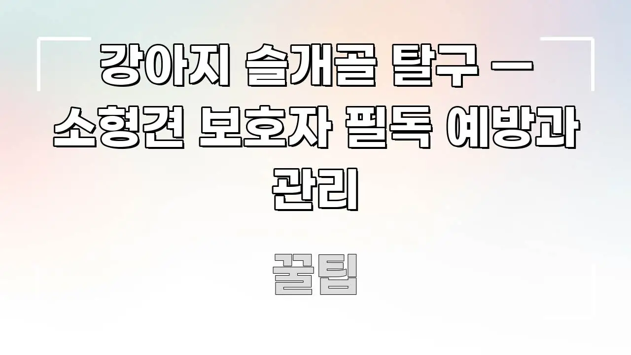 강아지 슬개골 탈구 — 소형견 보호자 필독 예방과 관리 구조적으로 정리된 블로그 헤더 이미지 - 독자 이해를 위한 이미지