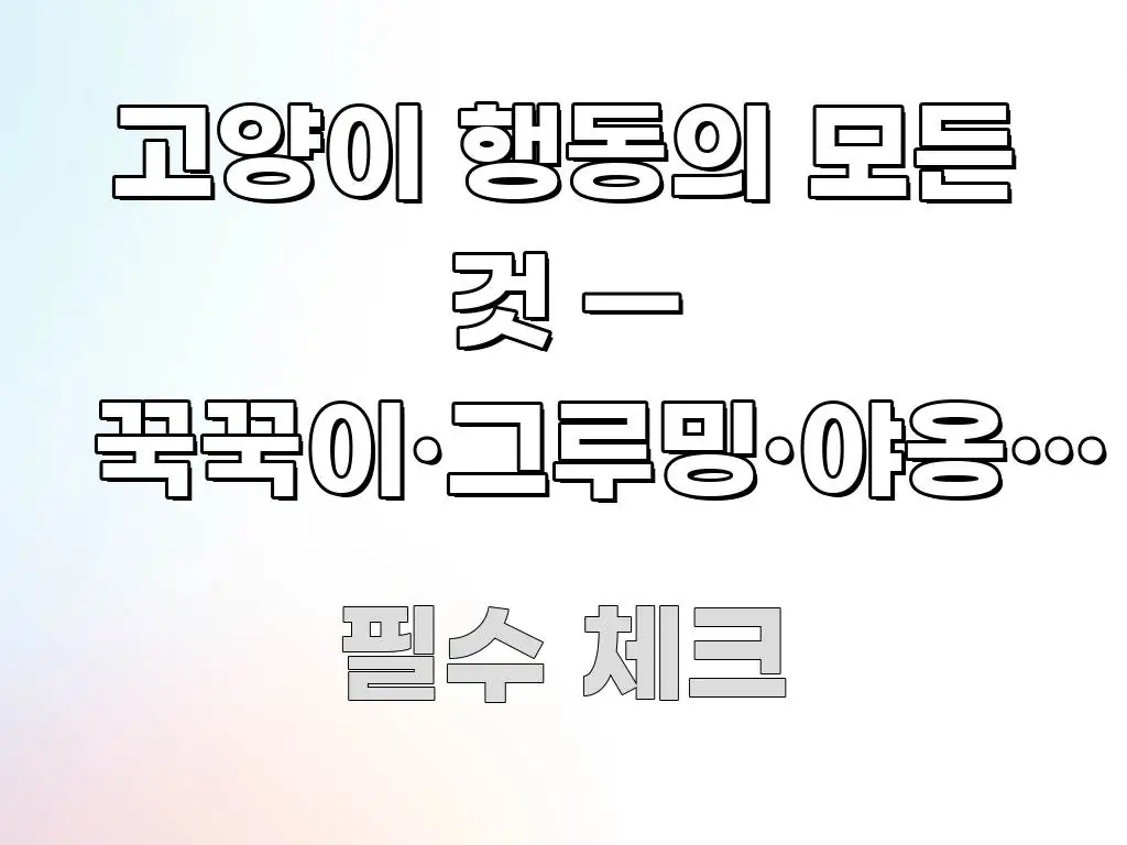 고양이 행동의 모든 것 — 꾹꾹이·그루밍·야옹의 진짜 알기 쉽게 정리한 스마트 정보 카드 - 내용 요약을 위한 이미지