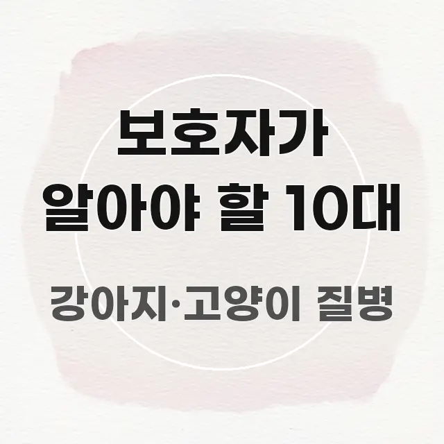 보호자가 알아야 할 10대 핵심 요약 보호자가 알아야 할 10대 실용적으로 정리한 타이포그래피 블로그 표지 - 설명을 돕는 이미지