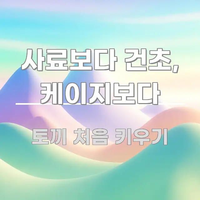 사료보다 건초, 케이지보다 꼭 필요한 정보만 담은 읽기 좋은 정보 카드 - 가독성을 높이는 이미지