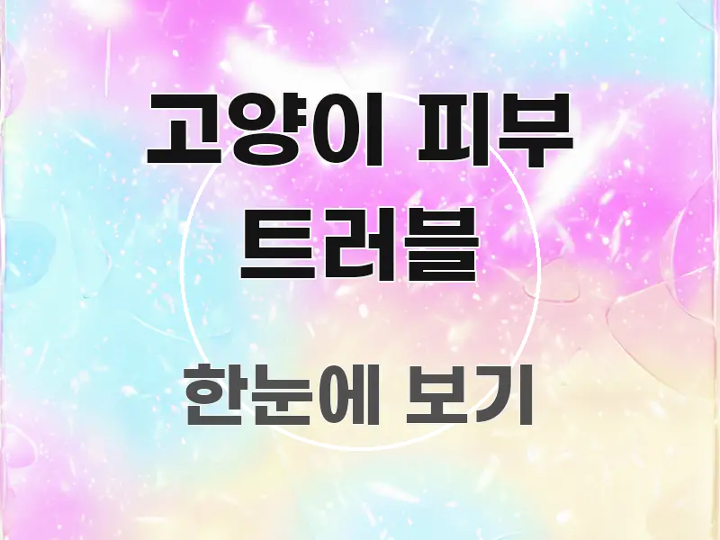 고양이 피부 트러블 정보 이미지 고양이 피부 트러블 직관적으로 이해되는 타이포그래피 블로그 표지 - 활용 예시 이미지