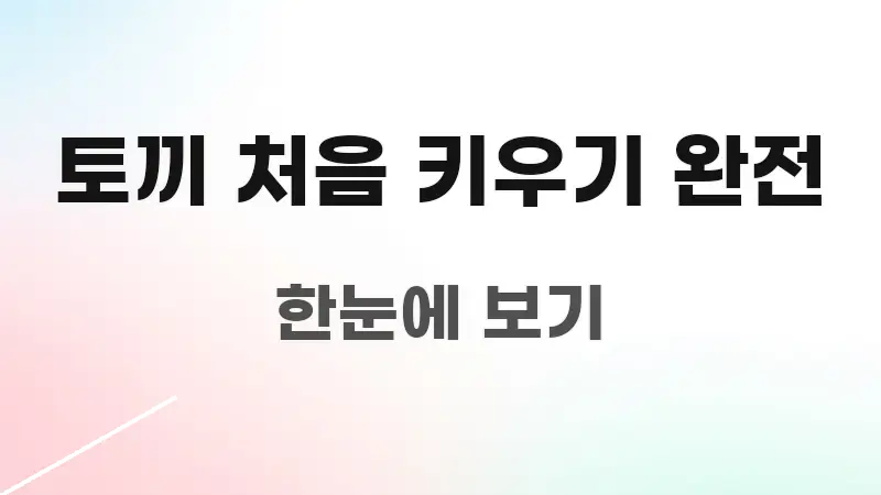 토끼 처음 키우기 완전 신뢰할 수 있는 정보를 담은 포스트 대표 비주얼 이미지 - 글 흐름을 돕는 시각 자료