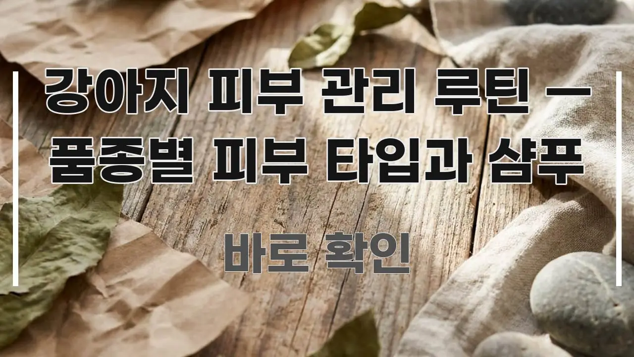 강아지 피부 관리 루틴 — 품종별 피부 타입과 샴푸 신뢰할 수 있는 정보를 담은 텍스트 중심 디자인 표지 - 내용 요약을 위한 이미지