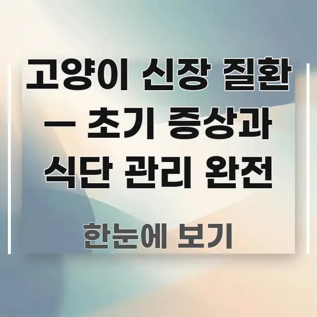 고양이 신장 질환 — 초기 증상과 식단 관리 완전 바로 활용 가능한 핵심 요약 디자인 카드 - 활용 예시 이미지