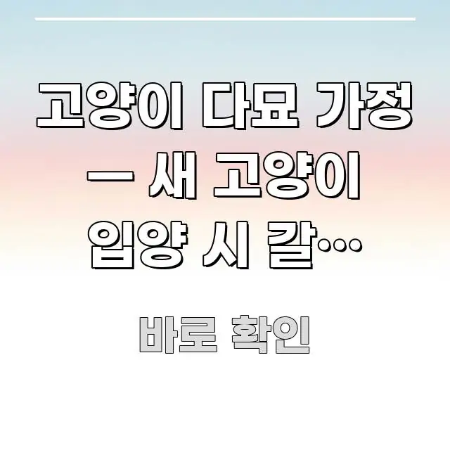 고양이 다묘 가정 — 새 고양이 입양 시 갈등 없이 구조적으로 정리된 핵심 정리 썸네일 이미지 - 가독성을 높이는 이미지