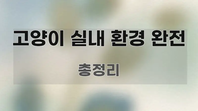 고양이 실내 환경 완전 정보 이미지 고양이 실내 환경 완전 핵심만 담은 텍스트 기반 블로그 이미지 - 독자 이해를 위한 이미지