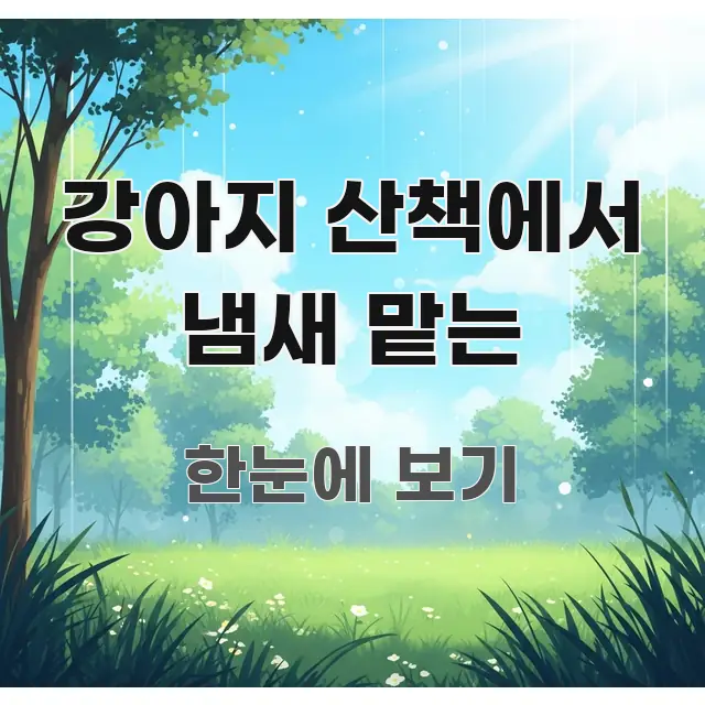 강아지 산책에서 냄새 맡는 정보 이미지 강아지 산책에서 냄새 맡는 흐름을 잡아주는 핵심 요약 디자인 카드