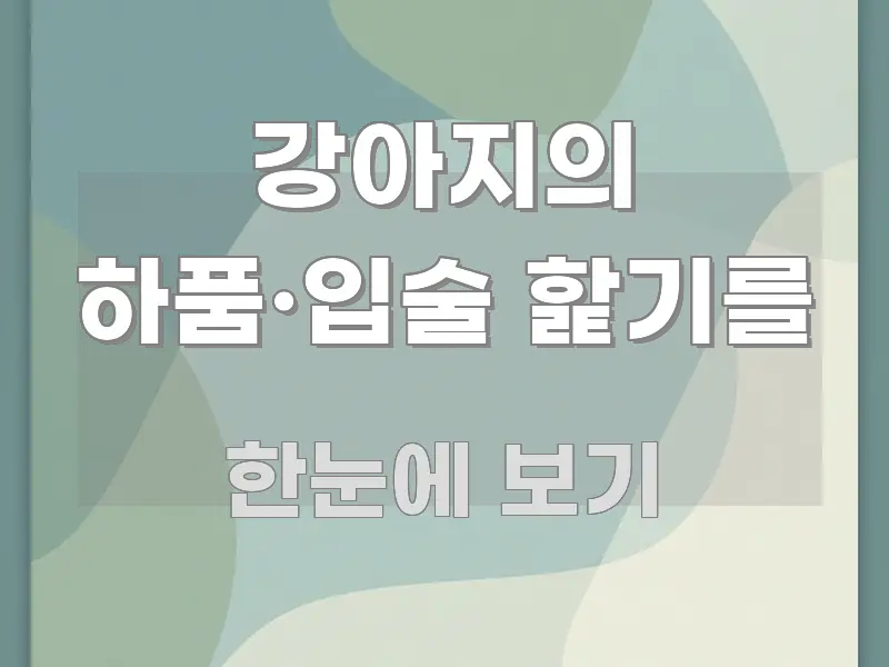 강아지의 하품·입술 핥기를 정보 이미지 강아지의 하품·입술 핥기를 효율적으로 구성된 핵심 요약 디자인 카드 - 글 흐름을 돕는 시각 자료