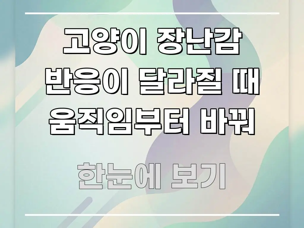고양이 장난감 반응이 달라질 때 움직임부터 바꿔 한눈에 보기 좋게 요약한 텍스트 포스터 이미지