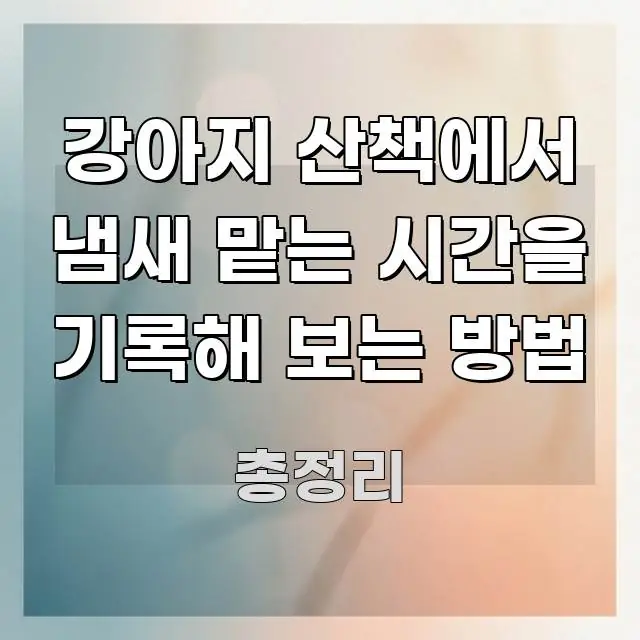 강아지 산책에서 냄새 맡는 시간을 기록해 보는 방법 바로 활용 가능한 깔끔한 인포그래픽 표지 - 내용 요약을 위한 이미지