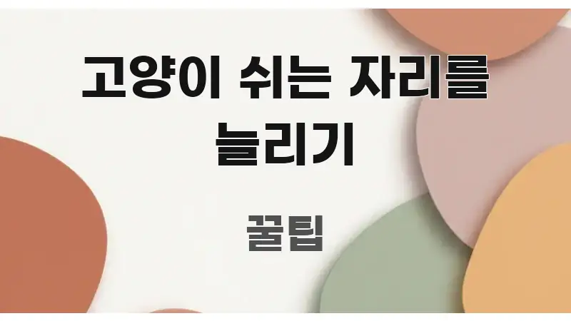 고양이 쉬는 자리를 늘리기 핵심 정보 중심의 미니멀 블로그 썸네일 - 글 흐름을 돕는 시각 자료