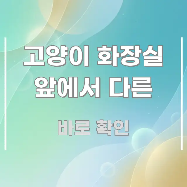 고양이 화장실 앞에서 다른 정보 이미지 고양이 화장실 앞에서 다른 쉽게 따라할 수 있는 미니멀 블로그 썸네일 - 설명을 돕는 이미지
